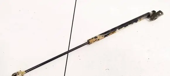 Hyundai Santa Fe Tailgate/trunk strut/damper