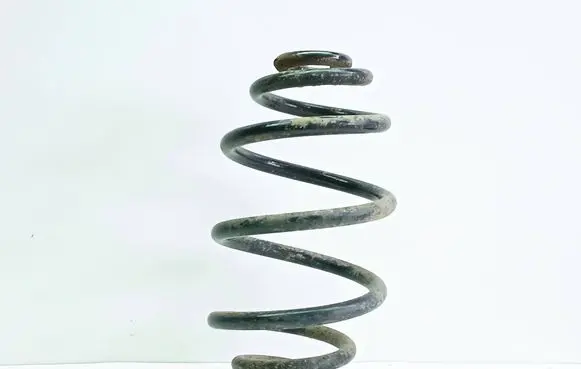 Volkswagen PASSAT B5.5 Rear coil spring