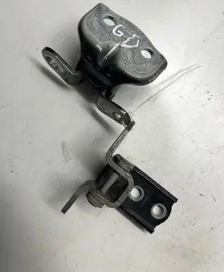 Rear door lower hinge