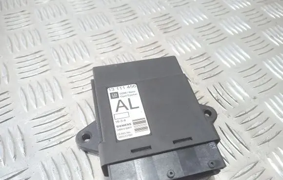 Opel Signum Door control unit/module 13111456