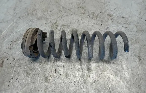 Rear coil spring