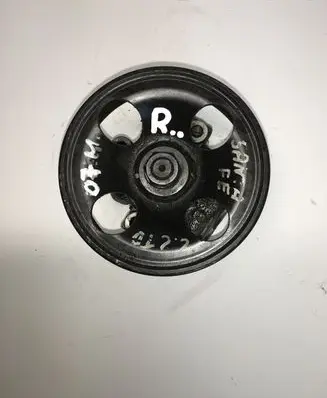 Hyundai Santa Fe Power steering pump 5710026300