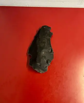 BMW X3 G01 Heat shield in engine bay 8666846