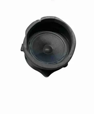 BMW X5 E53 Front door speaker 6513837956803