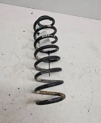 Rear coil spring