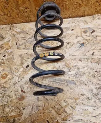 Rear coil spring