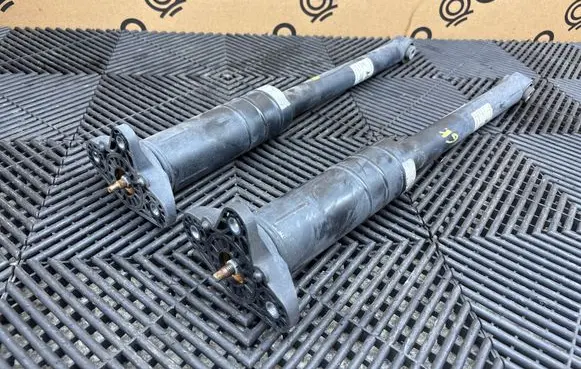 Alfa Romeo Giulia Rear shock absorber/damper 00505491570