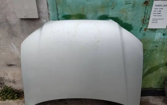 Engine bonnet/hood