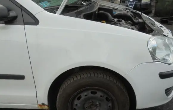 Volkswagen Cross Polo Fender