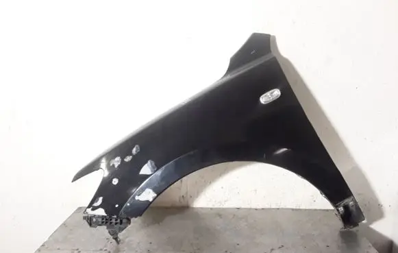 Hyundai Santa Fe Fender