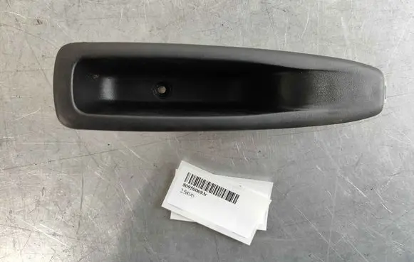 Renault Zoe Other rear door trim element 809500693R