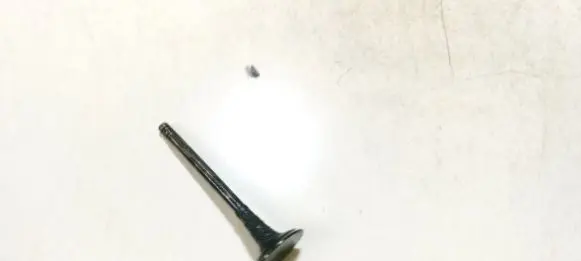 Volkswagen Tiguan Valve 