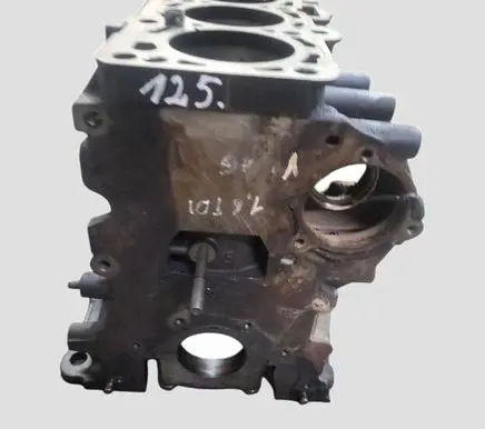 Volkswagen Golf VI Engine block CAY