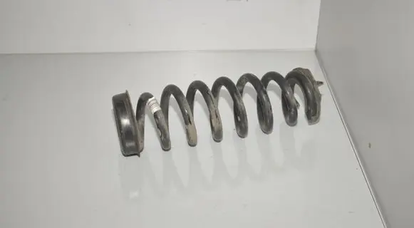 Rear coil spring