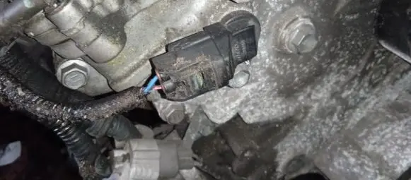 Toyota Verso Camshaft position sensor