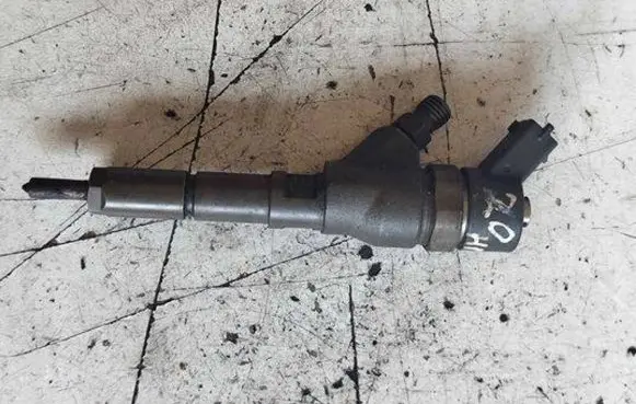 Citroen C5 Fuel injector 0445110062