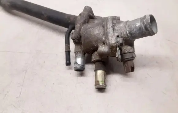 Thermostat/thermostat housing