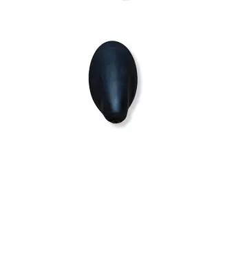 Ford B-MAX Radio antenna AV1T13828AA
