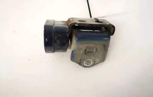 Renault Megane II Rear door lower hinge