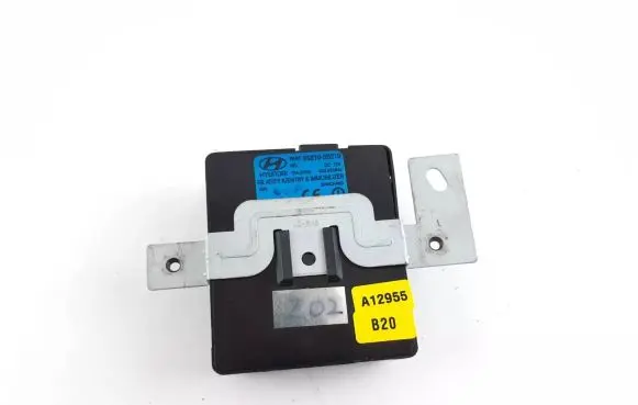 Hyundai Centennial Immobilizer control unit/module 95810-3B210 958103B210