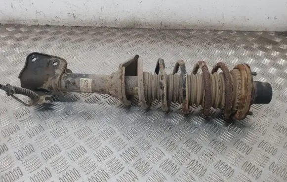 Land Rover Freelander Rear shock absorber with coil spring 