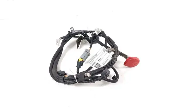 Citroen C5 X Positive cable (battery) 9829002380