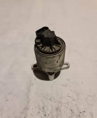 EGR valve