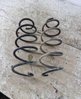 Rear coil spring