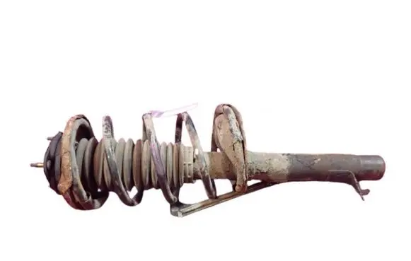 Ford Focus Front shock absorber with coil spring