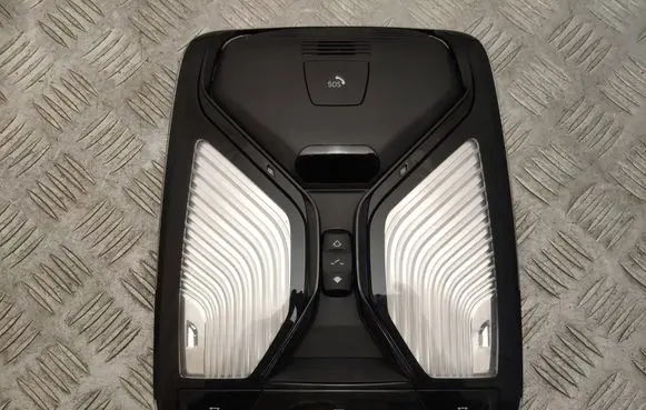 BMW X5 G05 Front seat light 7910960