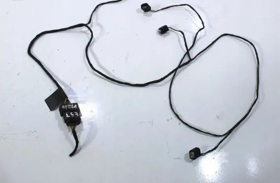 BMW X5 E53 Other wiring loom 77369610
