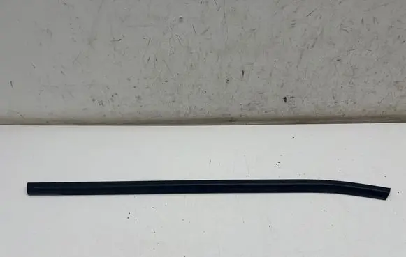 Hyundai Kona II Rear door glass trim molding