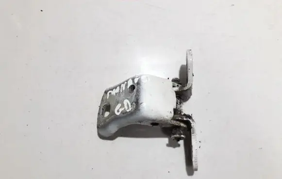 Rear door lower hinge