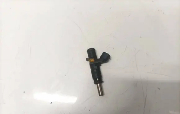 Peugeot 308 Fuel injector b318b00814