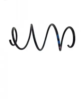 Front coil spring