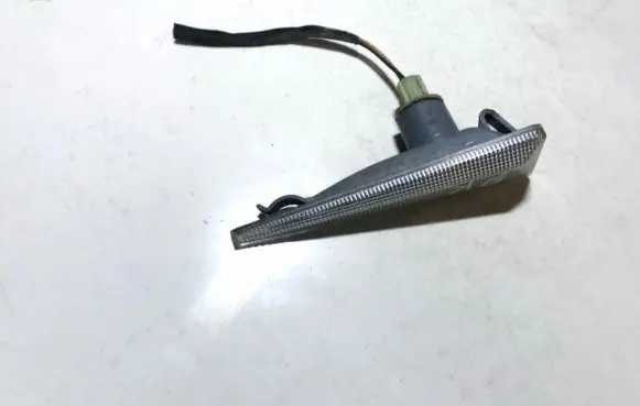 Front fender indicator light