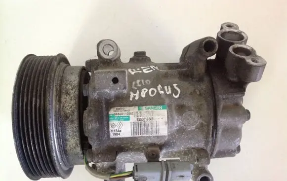 Renault Clio III Air conditioning (A/C) compressor (pump) 04860110862 R134A