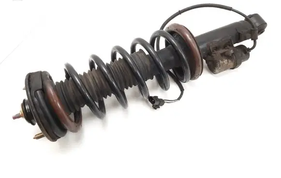 Hyundai Centennial Rear shock absorber with coil spring 