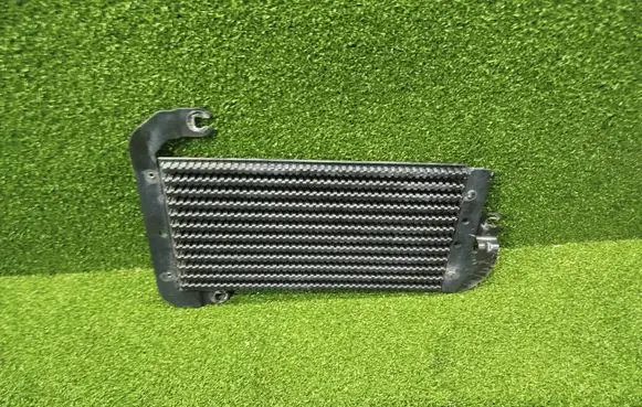 Renault Trafic III (X82) Fuel cooler (radiator) 175104049R