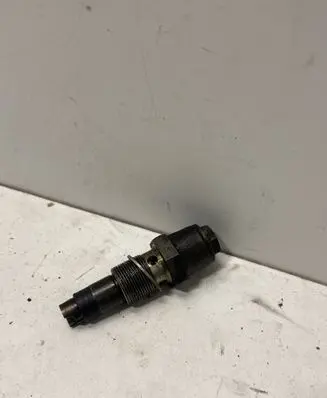 BMW 3 E46 Timing belt/chain tensioner 