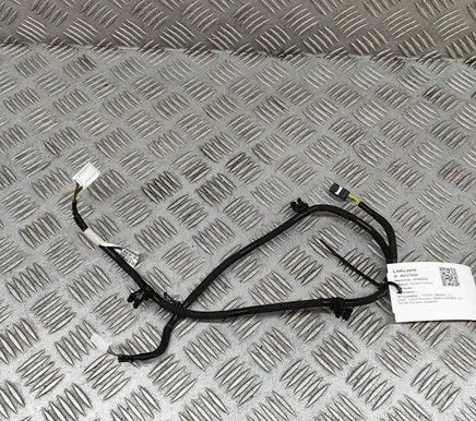 Other wiring loom