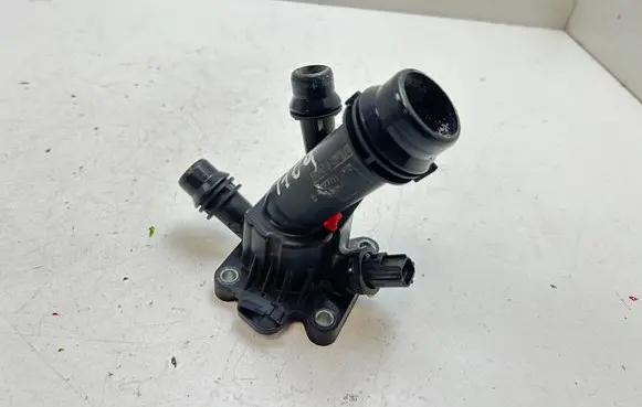 Thermostat/thermostat housing