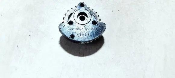 Audi A6 S6 C6 4F Slide rail for timing chain 059103331h