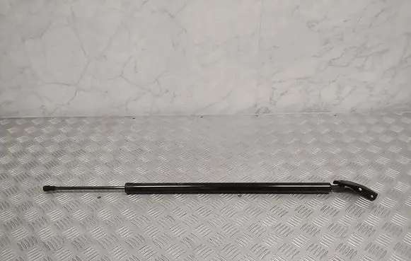 Tailgate strut