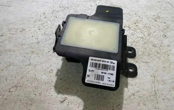 Blind spot module
