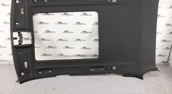 BMW X5M E70 Headlining 3681517
