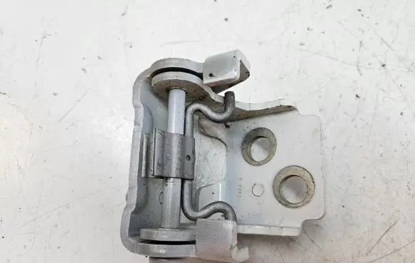 Rear door lower hinge