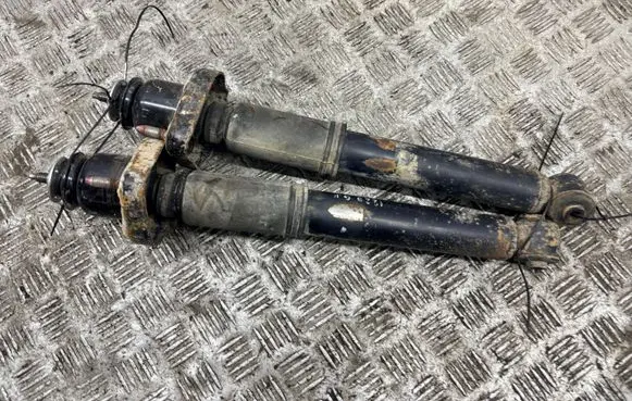 Citroen C-Crosser Rear shock absorber/damper 
