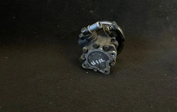Volkswagen Golf V Power steering pump 038145255