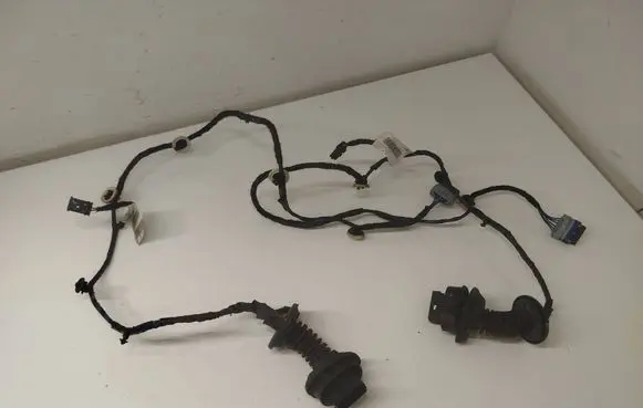 Citroen C3 Rear door wiring loom 9689004980